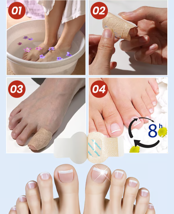 2_600c9be3-dc26-4602-88d6-240ff6264ef5.png