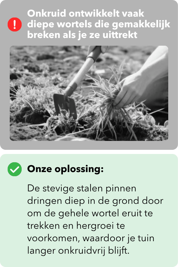 2_7f5918aa-afd9-4fbf-81c9-c3a8b25f0a1a.png