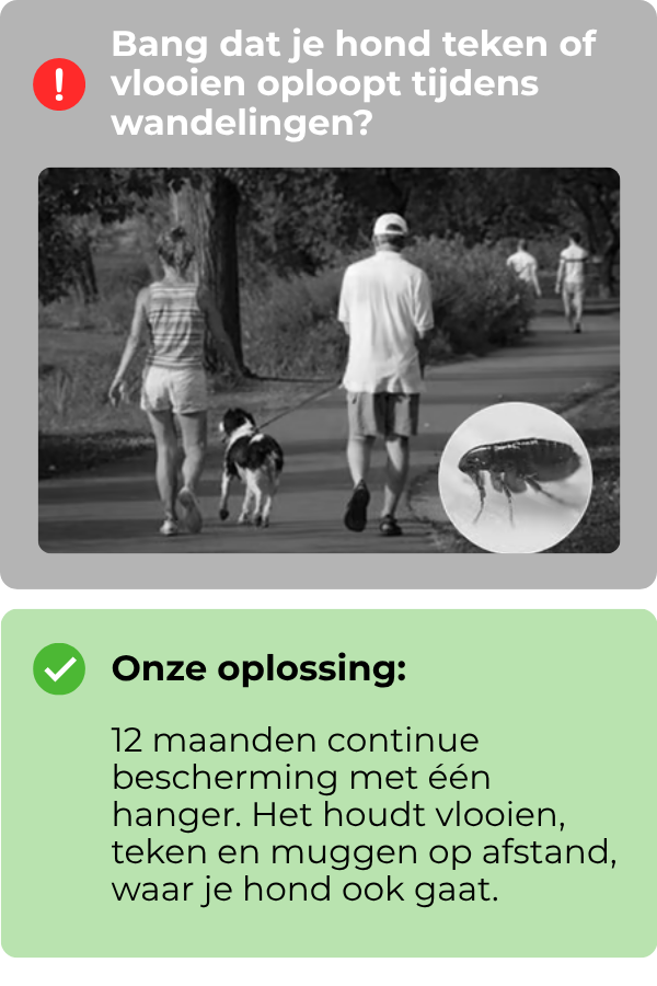 2_fe7b0dbe-aec9-4c8b-a672-04a84ba6b802.png