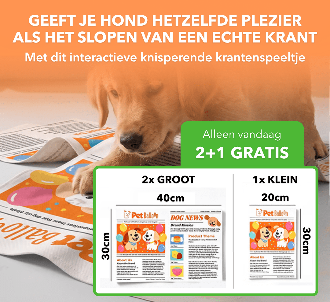 DogNews™ - Knisperend krantenspeeltje voor honden - Plofje