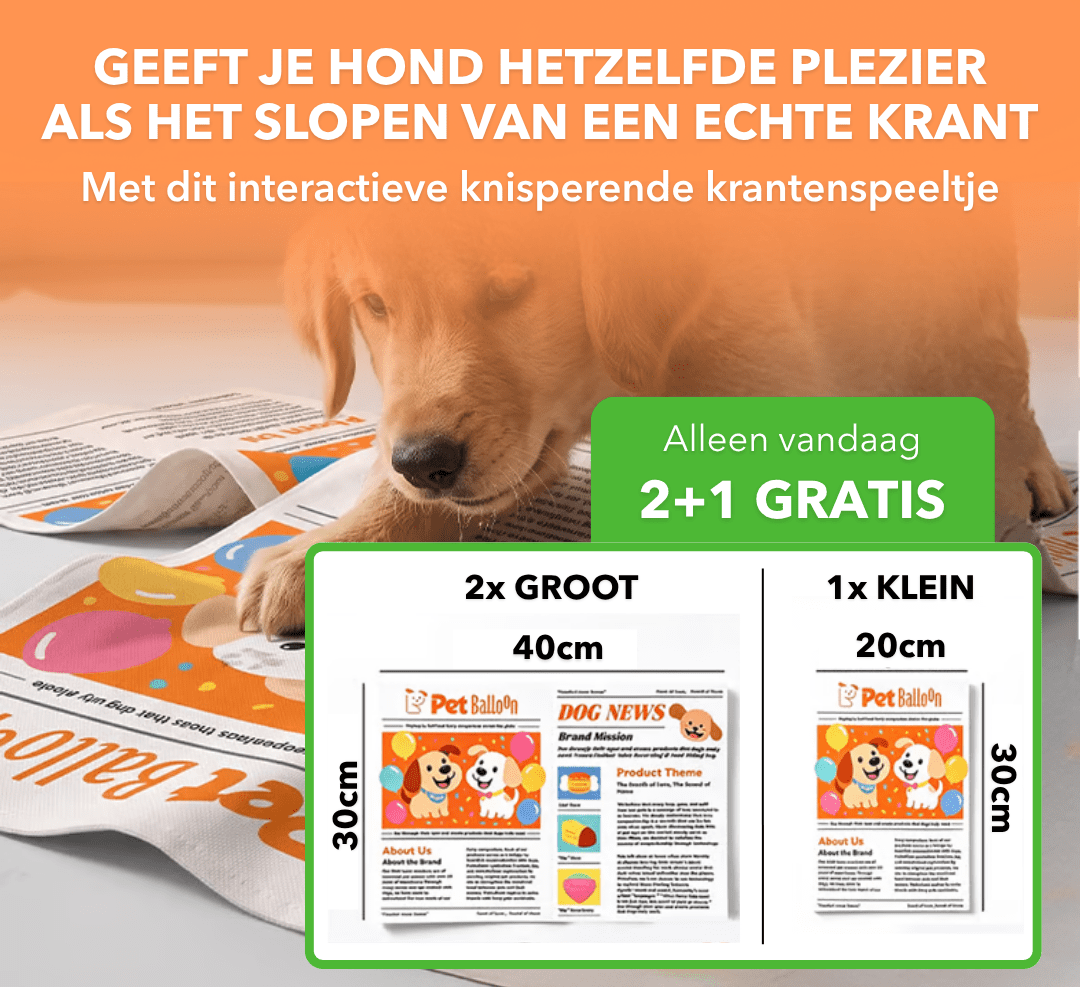 DogNews™ - Knisperend krantenspeeltje voor honden - Plofje