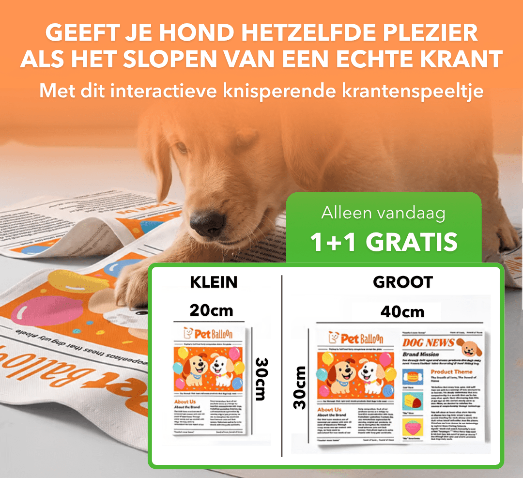 DogNews™ - Knisperend krantenspeeltje voor honden